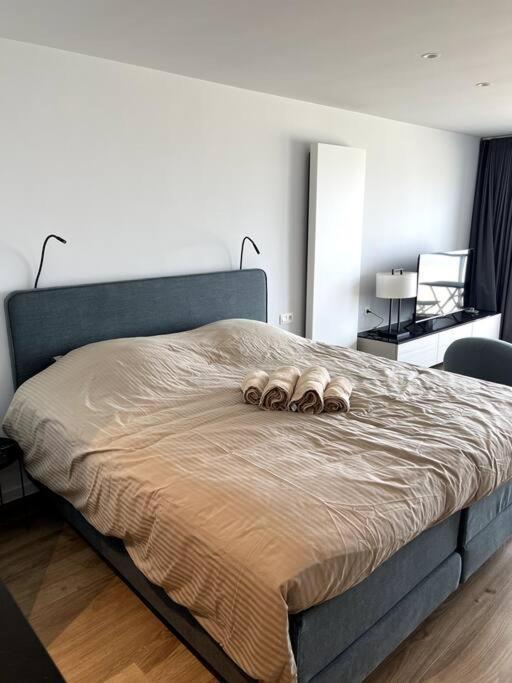 Suite 16 Blankenberge Dış mekan fotoğraf